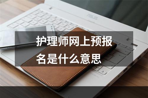护理师网上预报名是什么意思