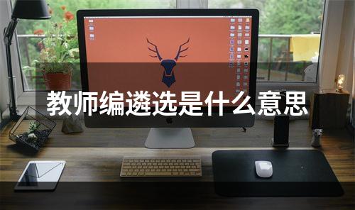 教师编遴选是什么意思