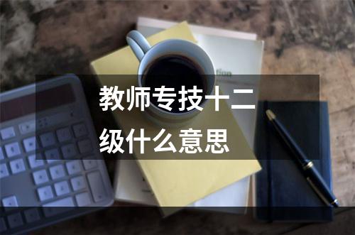 教师专技十二级什么意思