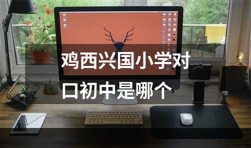 鸡西兴国小学对口初中是哪个
