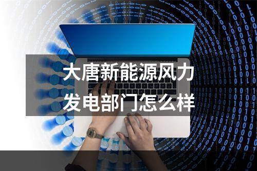大唐新能源风力发电部门怎么样