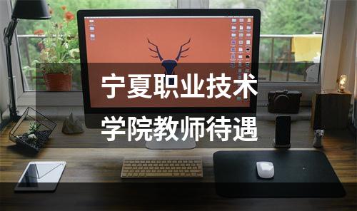 宁夏职业技术学院教师待遇