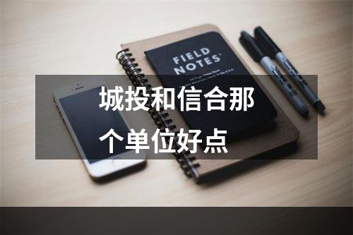 城投和信合那个单位好点