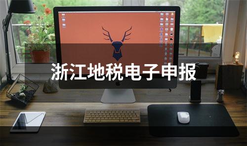 浙江地税电子申报
