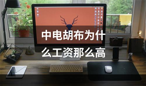 中电胡布为什么工资那么高