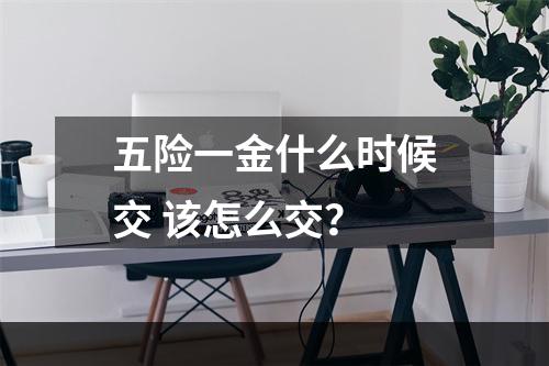 五险一金什么时候交 该怎么交？