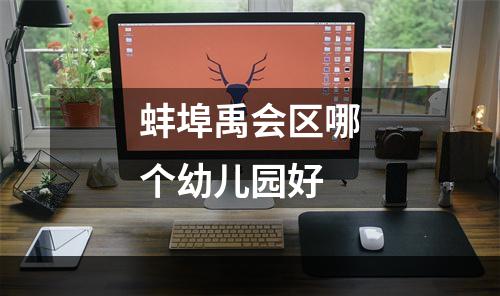 蚌埠禹会区哪个幼儿园好