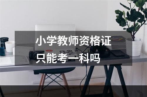 小学教师资格证只能考一科吗