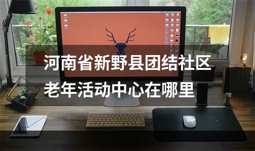 河南省新野县团结社区老年活动中心在哪里