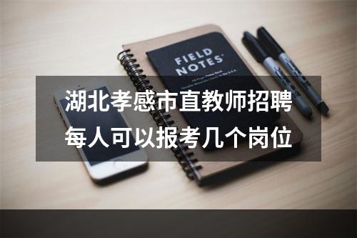 湖北孝感市直教师招聘每人可以报考几个岗位