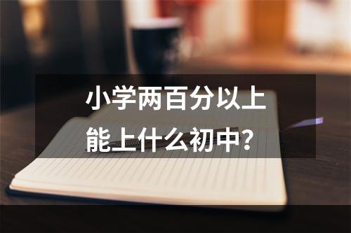 小学两百分以上能上什么初中？