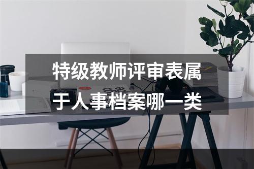 特级教师评审表属于人事档案哪一类