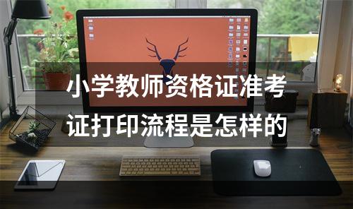 小学教师资格证准考证打印流程是怎样的