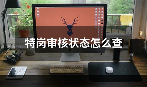 特岗审核状态怎么查