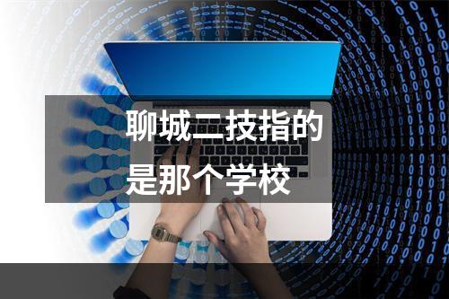聊城二技指的是那个学校