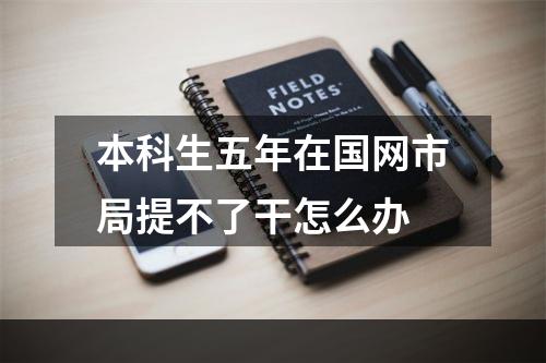 本科生五年在国网市局提不了干怎么办