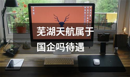 芜湖天航属于国企吗待遇