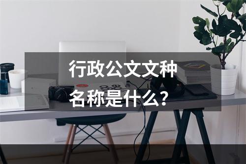 行政公文文种名称是什么？