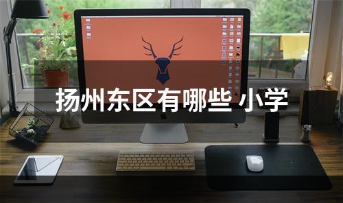 扬州东区有哪些 小学