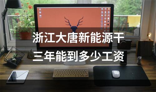 浙江大唐新能源干三年能到多少工资