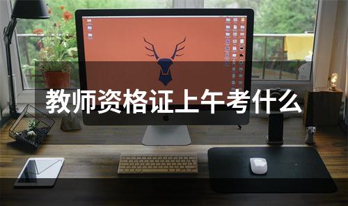 教师资格证上午考什么