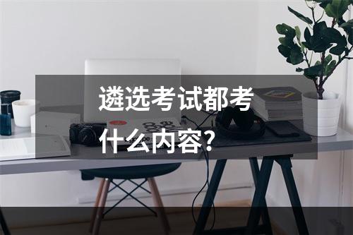 遴选考试都考什么内容?