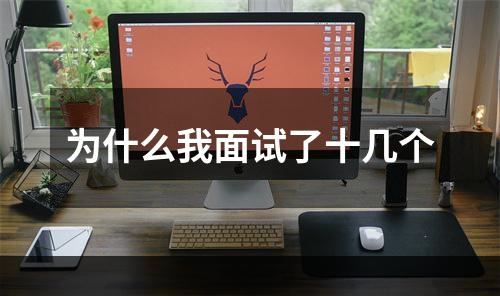 为什么我面试了十几个