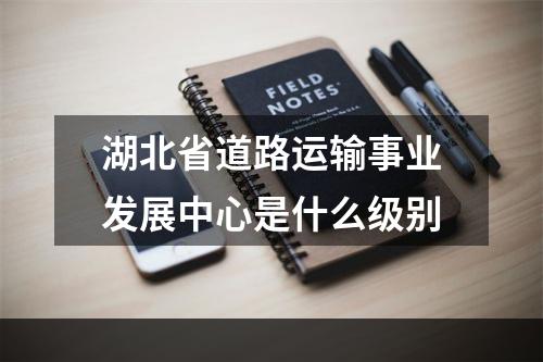 湖北省道路运输事业发展中心是什么级别