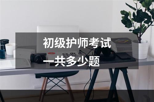 初级护师考试一共多少题