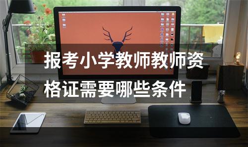 报考小学教师教师资格证需要哪些条件
