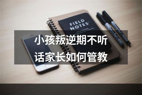 小孩叛逆期不听话家长如何管教