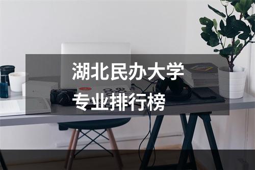 湖北民办大学专业排行榜