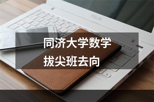 同济大学数学拔尖班去向