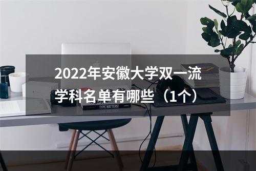 2022年安徽大学双一流学科名单有哪些（1个）