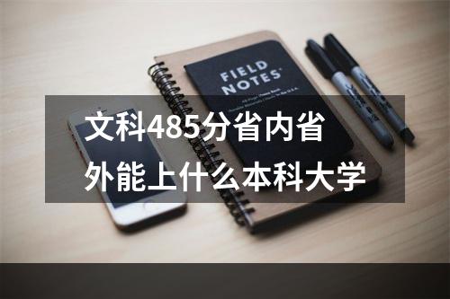 文科485分省内省外能上什么本科大学