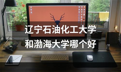 辽宁石油化工大学和渤海大学哪个好