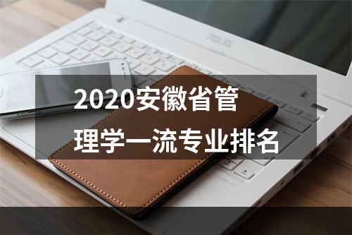 2020安徽省管理学一流专业排名