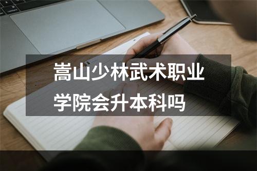 嵩山少林武术职业学院会升本科吗