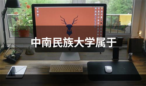 中南民族大学属于