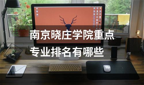南京晓庄学院重点专业排名有哪些