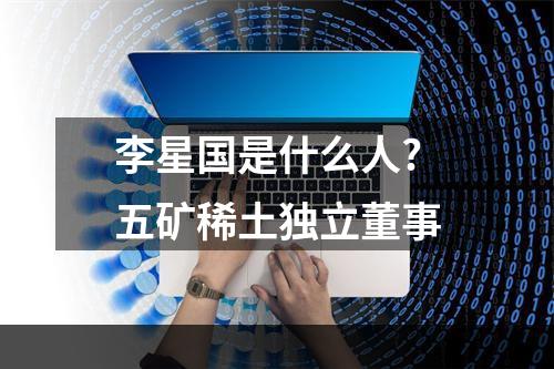 李星国是什么人?五矿稀土独立董事