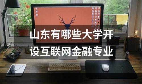 山东有哪些大学开设互联网金融专业