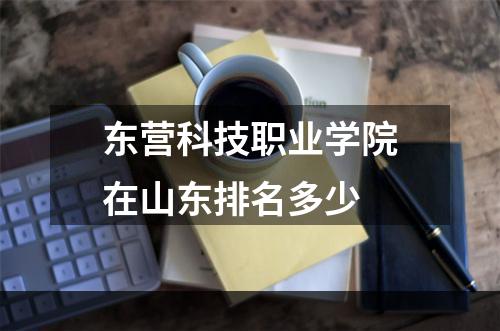 东营科技职业学院在山东排名多少
