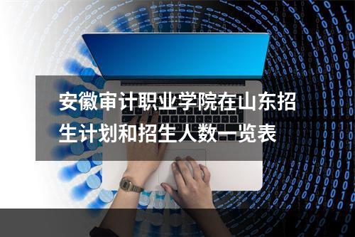 安徽审计职业学院在山东招生计划和招生人数一览表