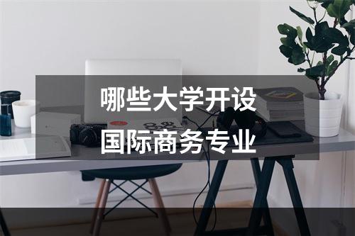 哪些大学开设国际商务专业