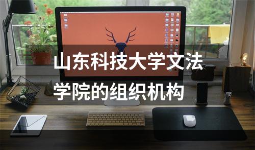 山东科技大学文法学院的组织机构