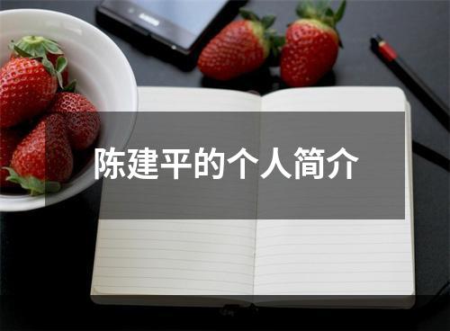 陈建平的个人简介