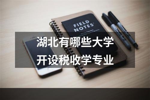 湖北有哪些大学开设税收学专业