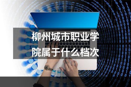 柳州城市职业学院属于什么档次