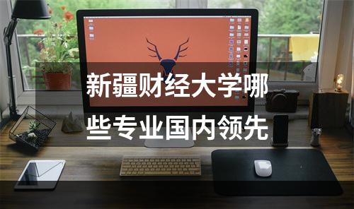 新疆财经大学哪些专业国内领先
